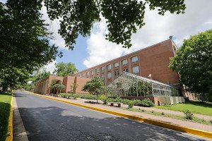 The College of Science, Technology, and Health Welcomes New Faculty