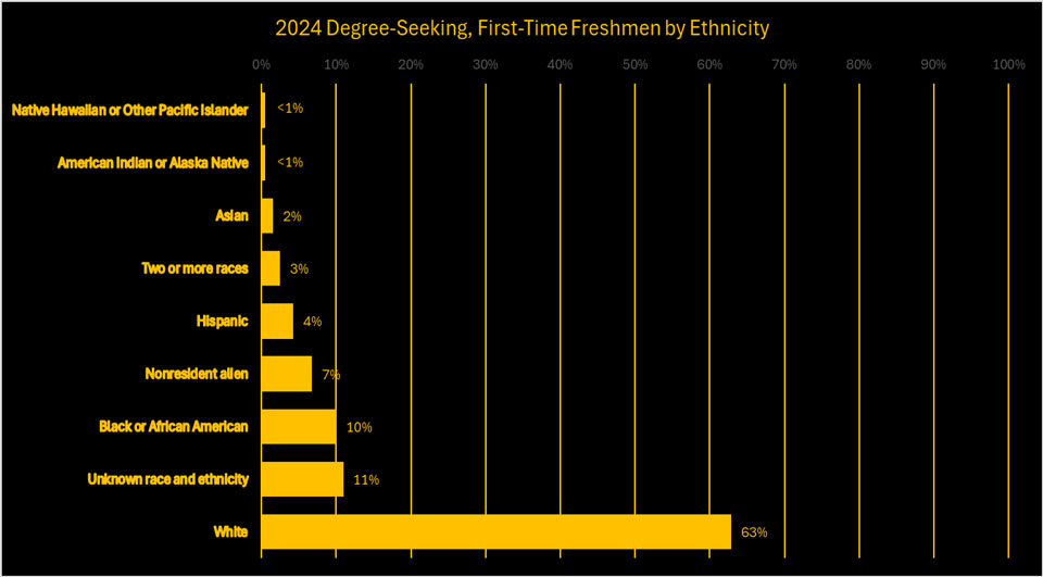 2024 Degree Seeking First Time Freshman by Race/Ethnicity