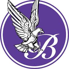 a lilac circle with a white line around teh boarder with an eagal flying in front of a cursive B